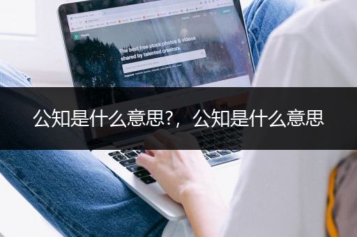 公知是什么意思?，公知是什么意思